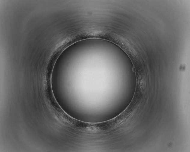 X0000096990591200802151354