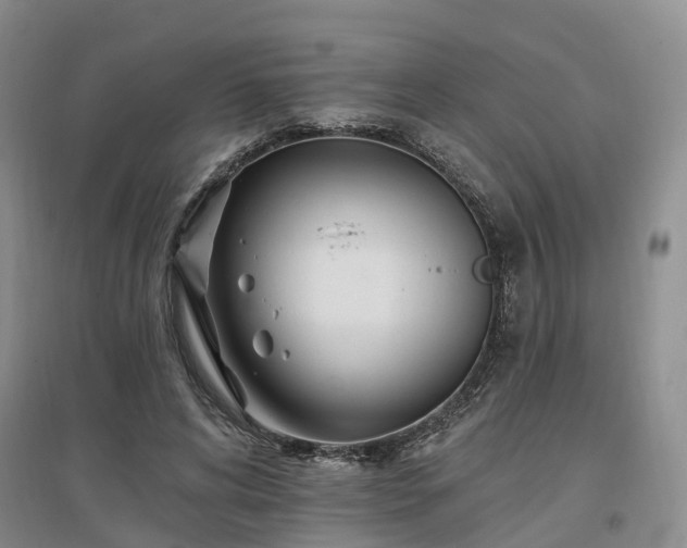 X0000096990592200802151354