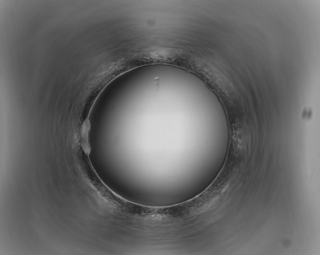 X0000096990593200802151354