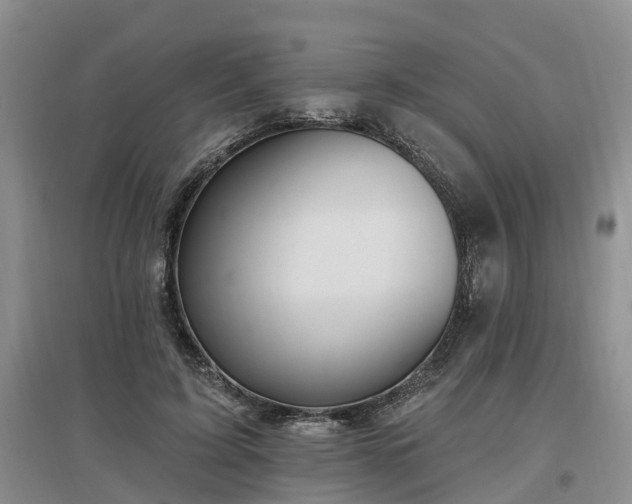 X0000096990595200802151354