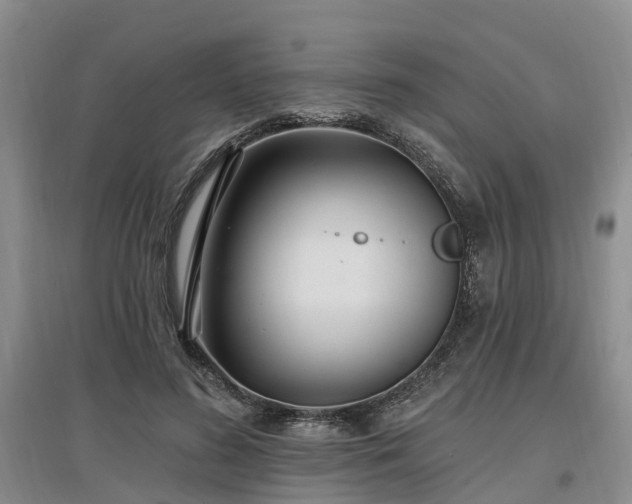 X0000096990596200802151354
