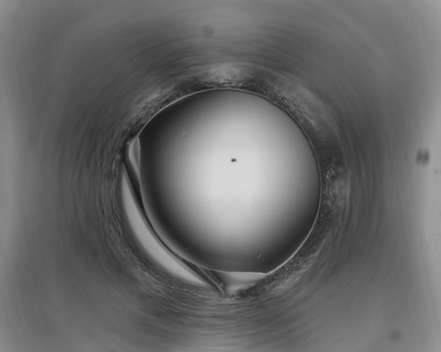 X0000096990597200802151354