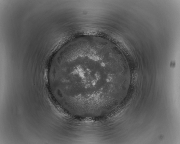X0000096990598200802151354