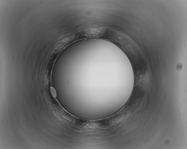 X0000096990599200802151354