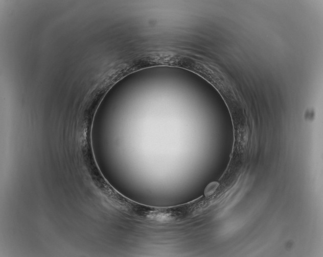 X0000096990602200802151354