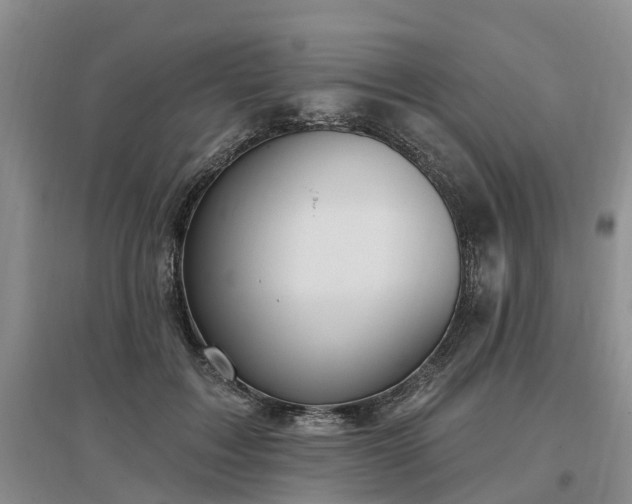 X0000096990603200802151354