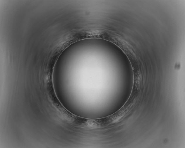 X0000096990608200802151354