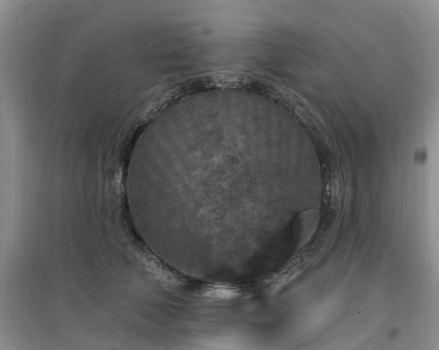 X0000096990610200802151354