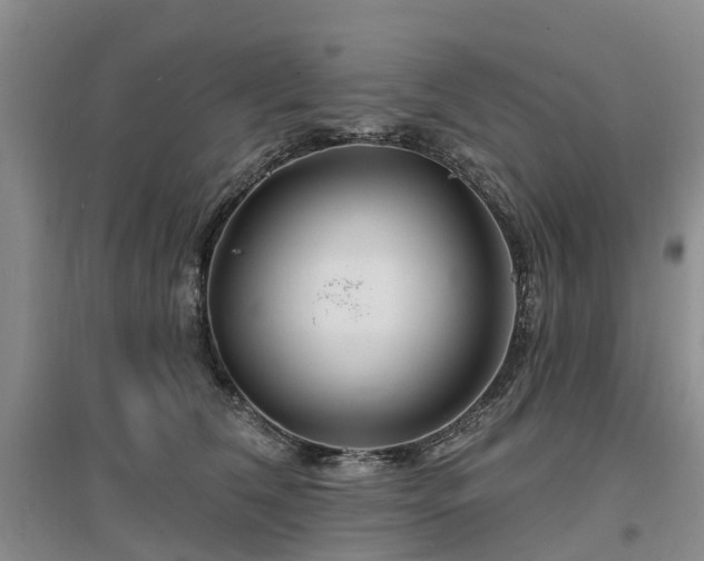 X0000096990612200802151354