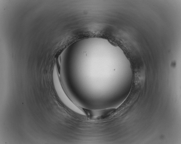 X0000096990613200802151354