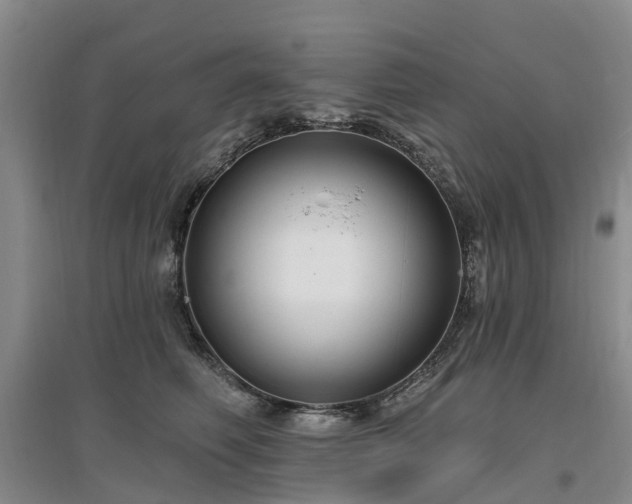 X0000096990614200802151354