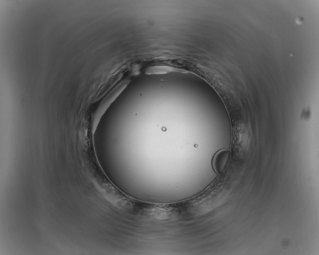 X0000096990615200802151354