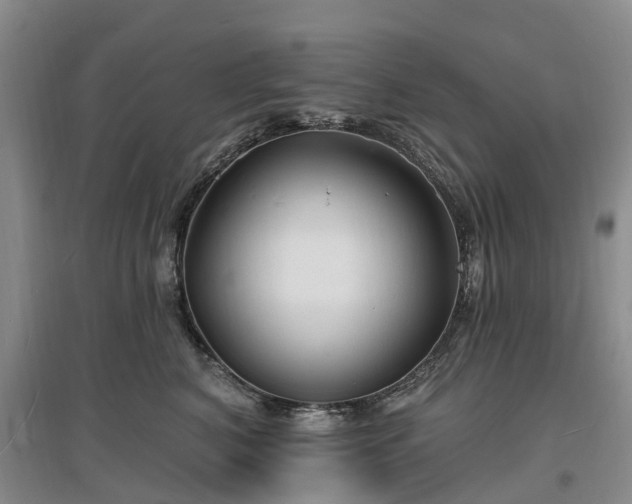 X0000096990616200802151354