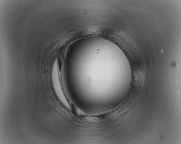 X0000096990617200802151354