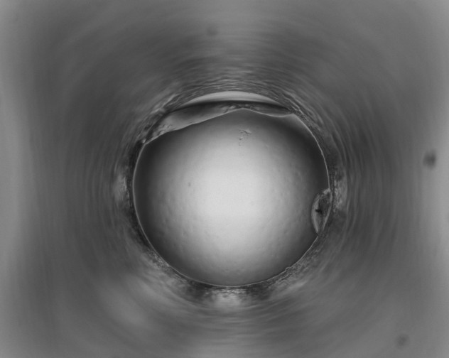 X0000096990618200802151354