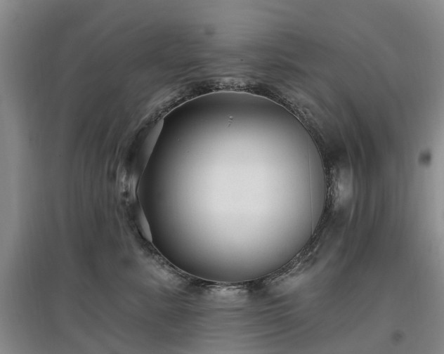 X0000096990619200802151354