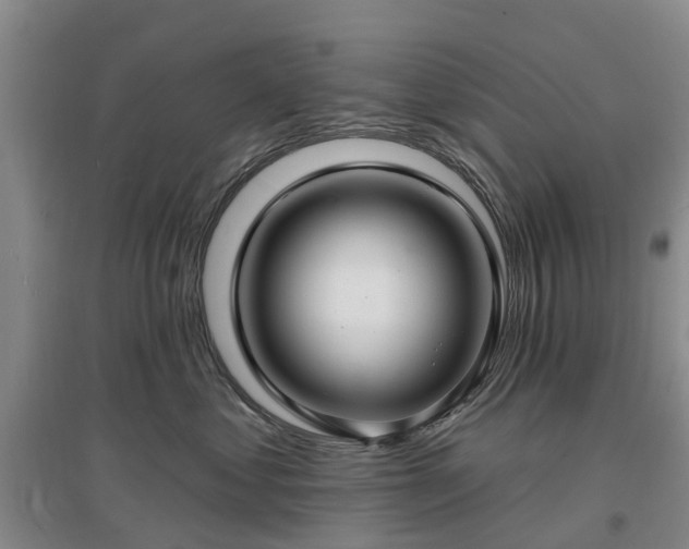 X0000096990621200802151354