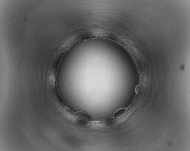X0000096990622200802151354