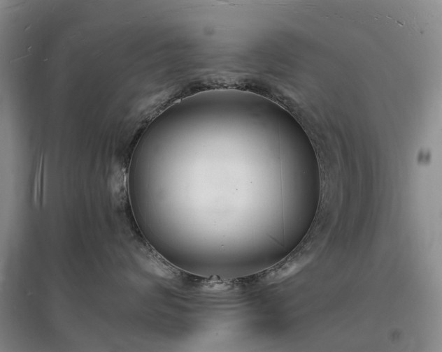 X0000096990624200802151354