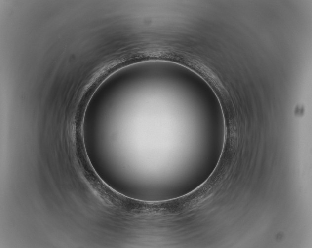 X0000096990626200802151353