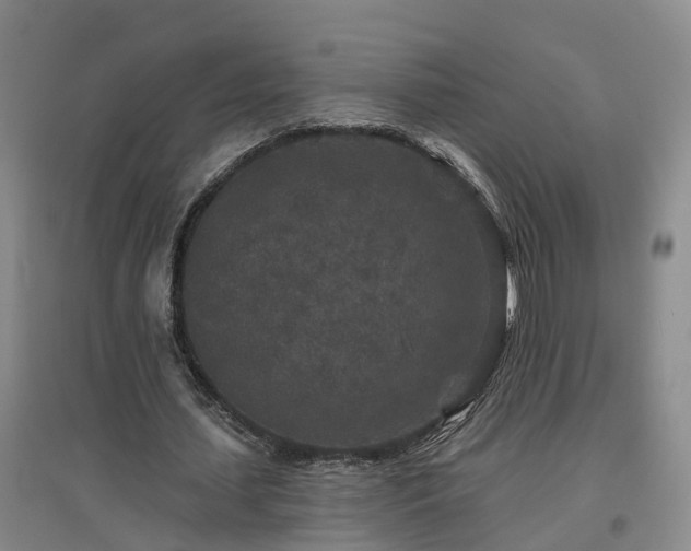 X0000096990627200802151353