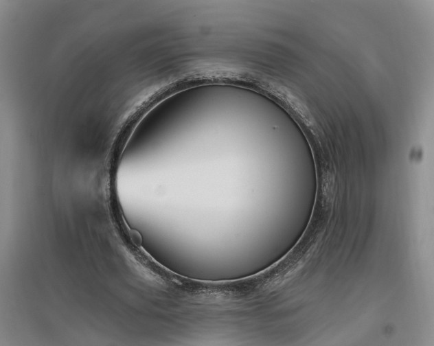 X0000096990629200802151353