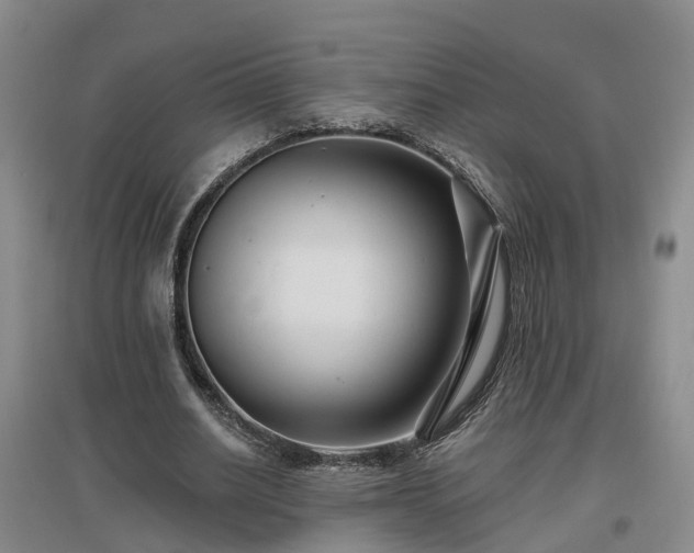 X0000096990630200802151353