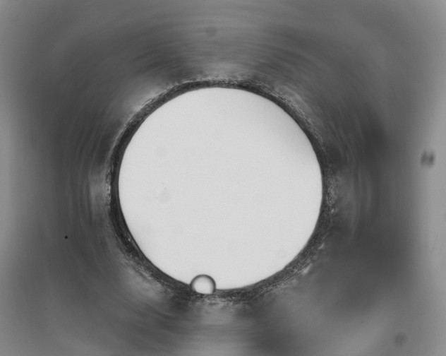 X0000096990632200802151353