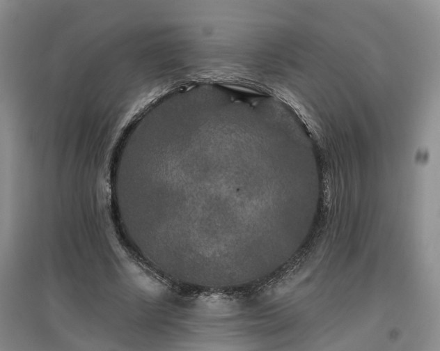 X0000096990634200802151353