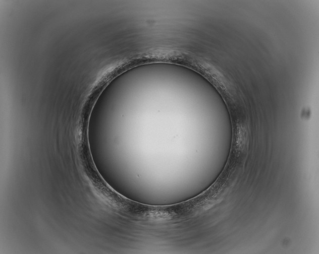 X0000096990636200802151353