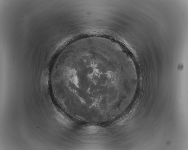 X0000096990637200802151353