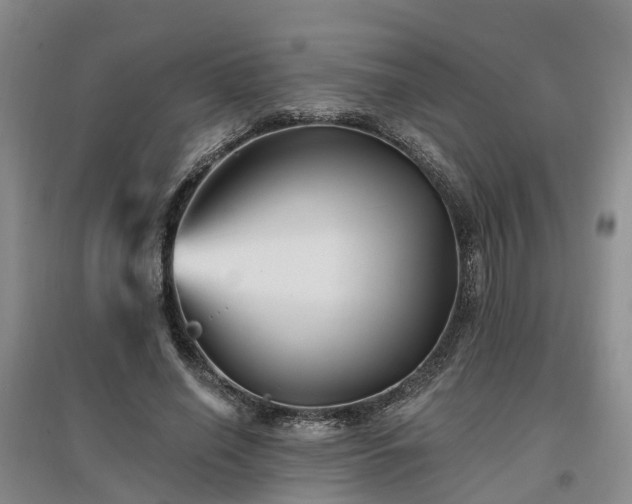 X0000096990638200802151353