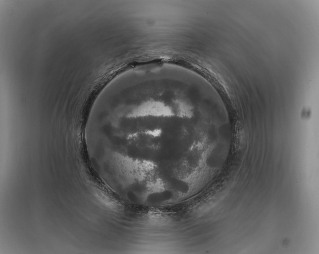 X0000096990641200802151353