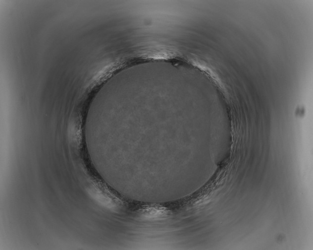 X0000096990642200802151353