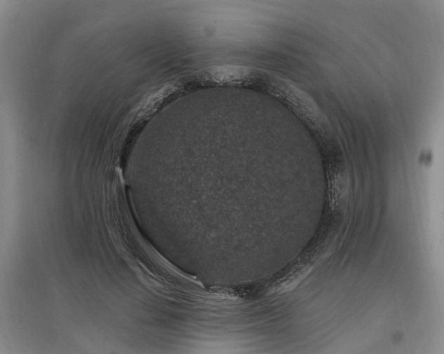 X0000096990644200802151353