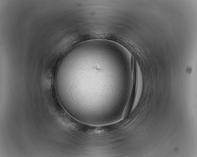 X0000096990647200802151353