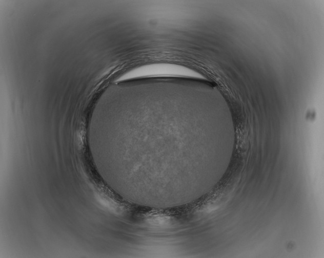 X0000096990648200802151353