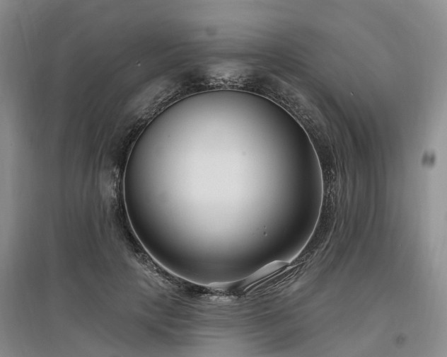 X0000096990649200802151353