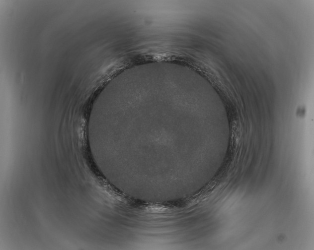 X0000096990650200802151353