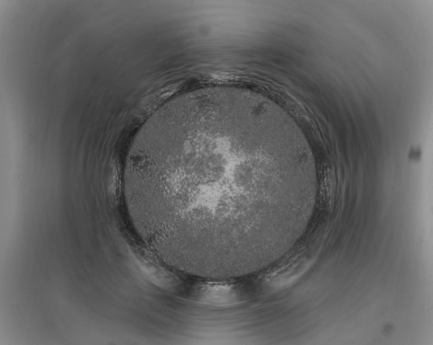 X0000096990651200802151353