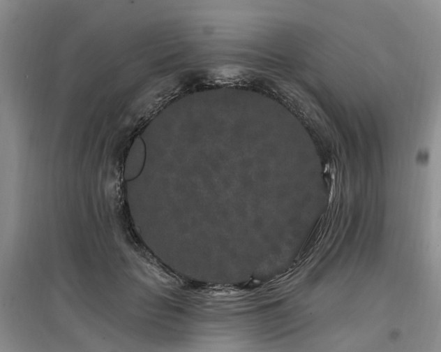 X0000096990653200802151353