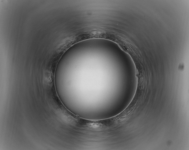 X0000096990654200802151353