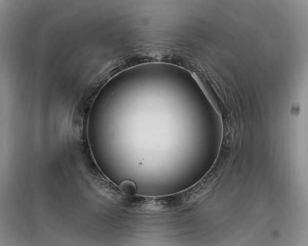 X0000096990656200802151353
