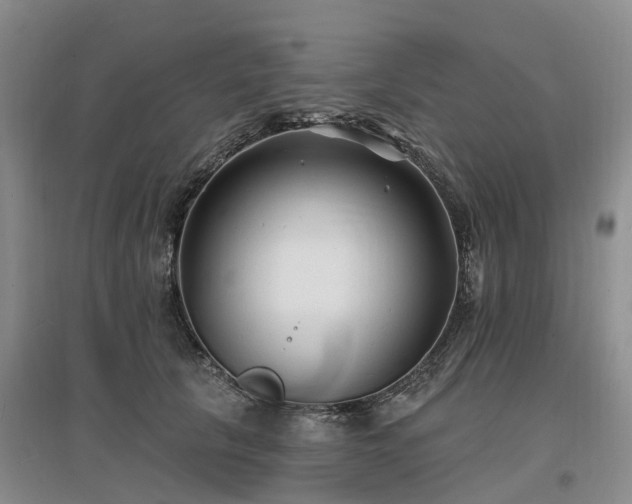 X0000096990657200802151353