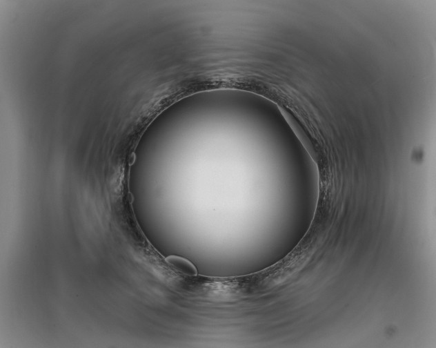 X0000096990660200802151353