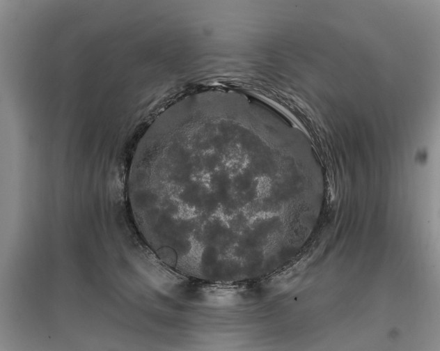 X0000096990661200802151353