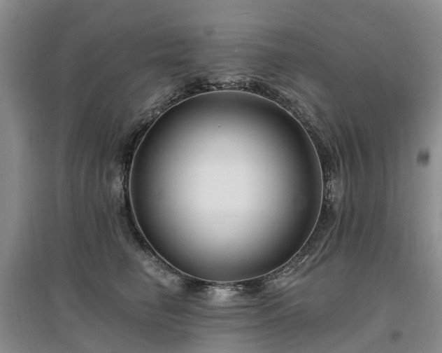 X0000096990662200802151353