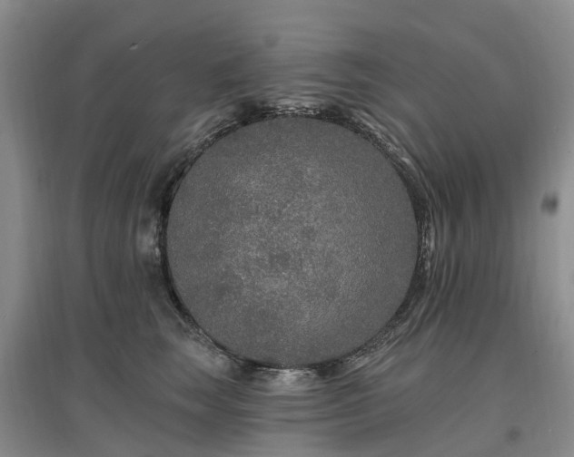 X0000096990663200802151353