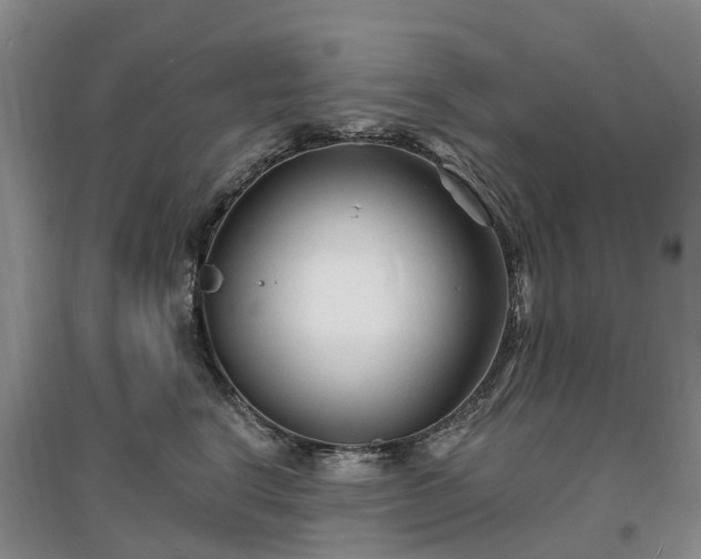 X0000096990664200802151353