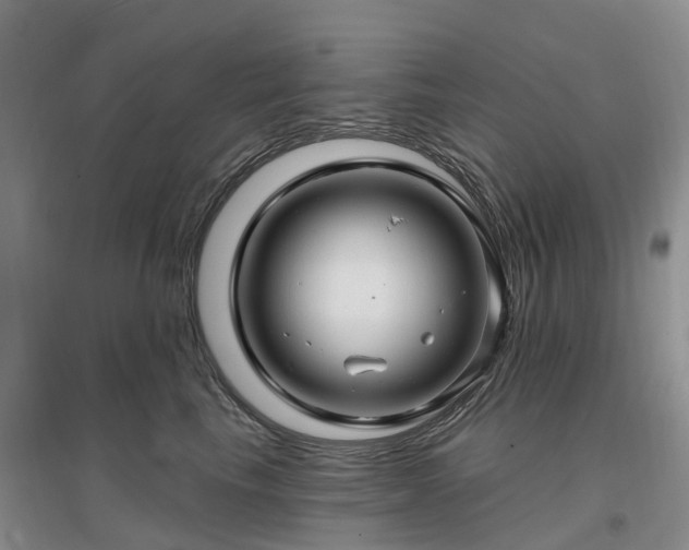 X0000096990665200802151353